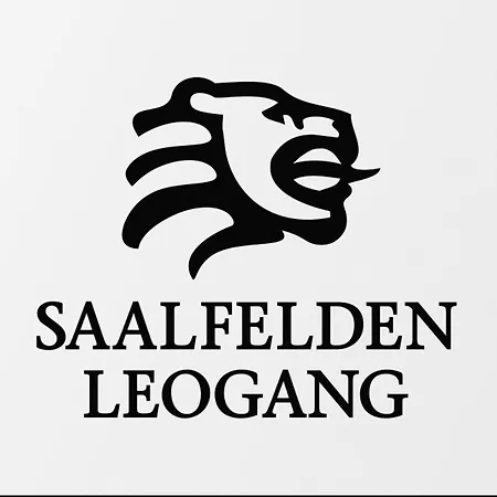 In Near Slopes Prázdninový dům Saalfelden