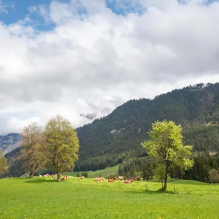Semesterbostad In Near Slopes