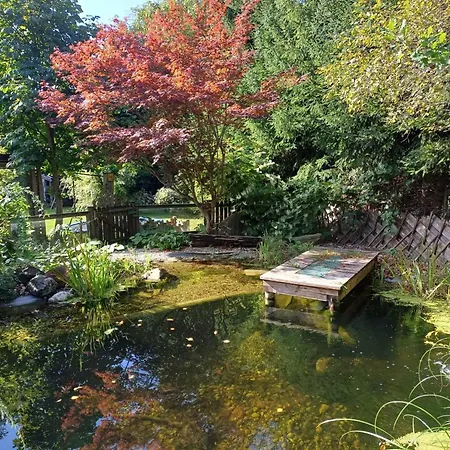 In Near Slopes * Saalfelden