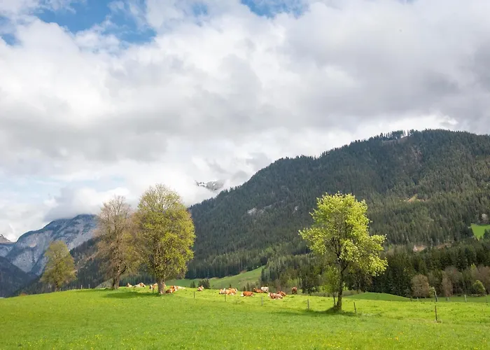 Holiday home In Near Slopes