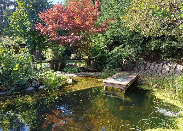 In Near Slopes * 살펠덴암스타이너르넨미어